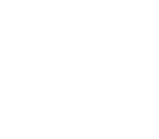 Flame Icon